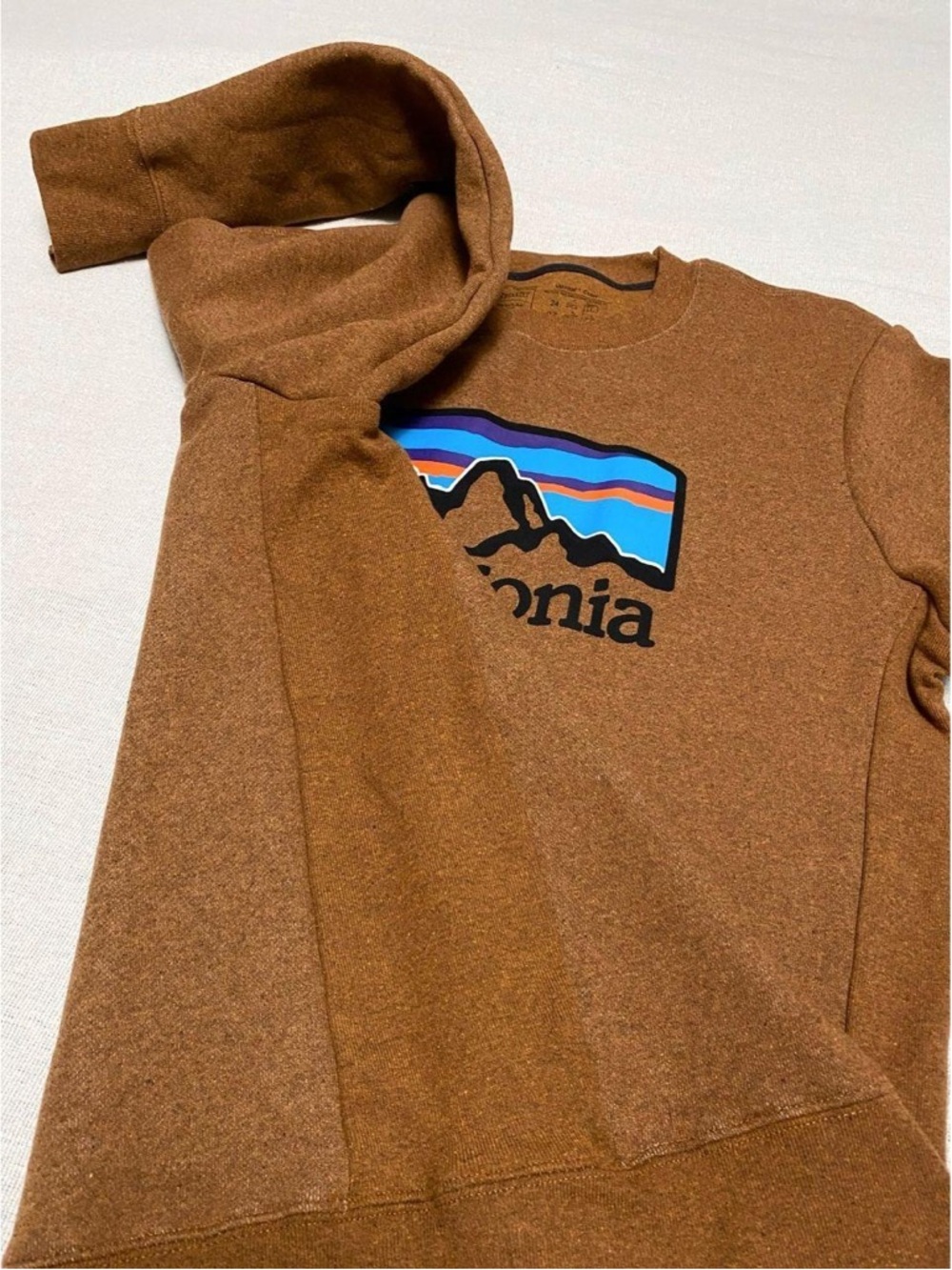 Patagonia Brown Crewneck with Multicolor Mountain Logo - Picture 4 of 7